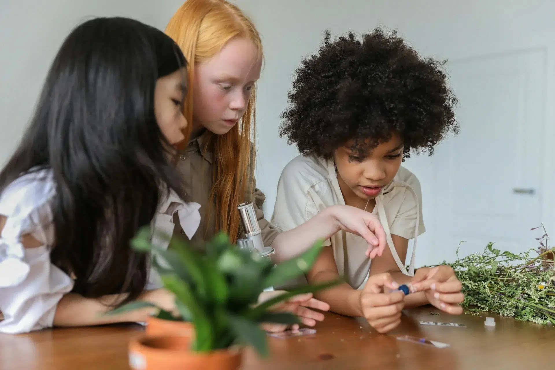 7th Grade Science Enrichment Programs