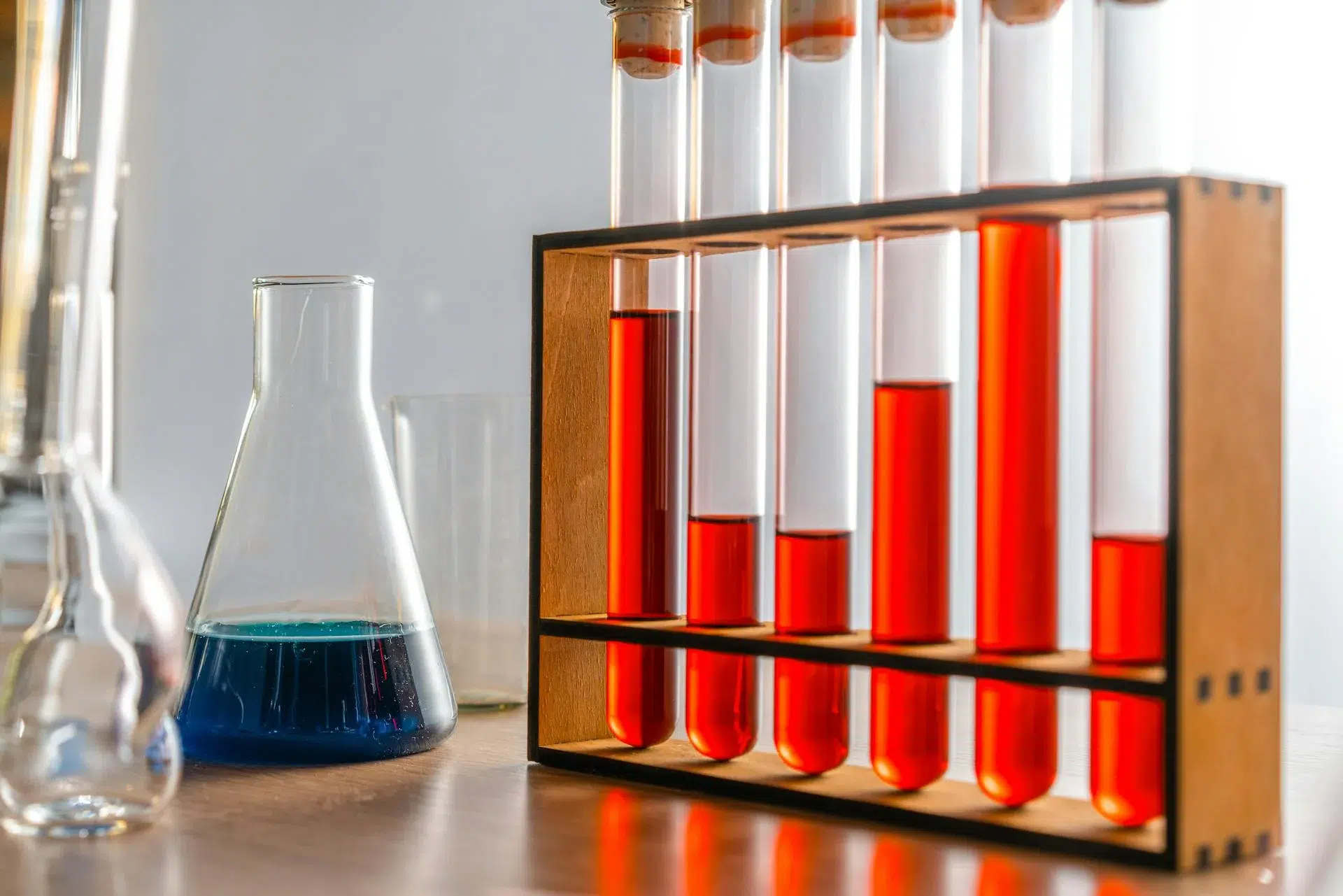 8th Grade Science Enrichment Programs