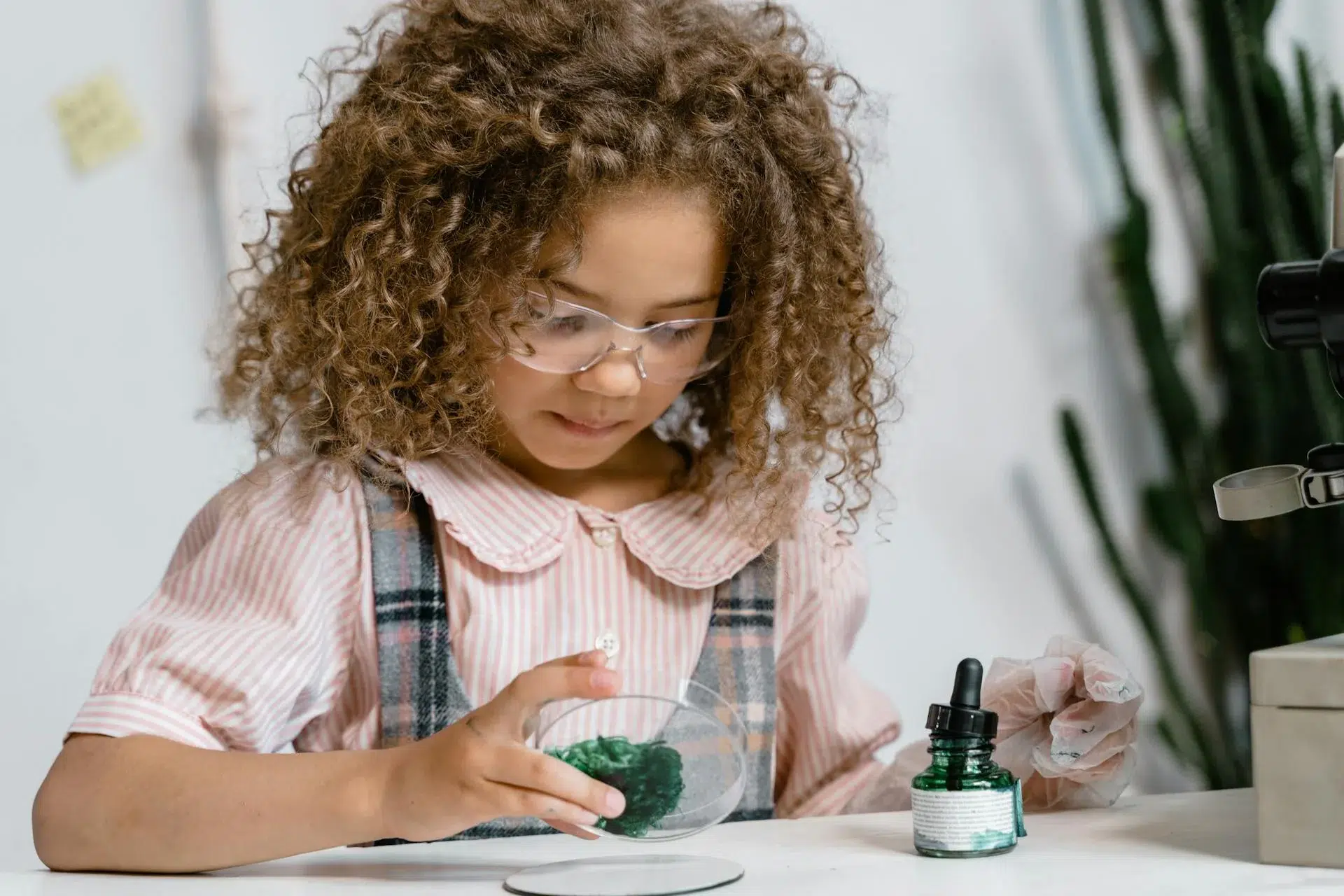 1st Grade Science Enrichment Programs