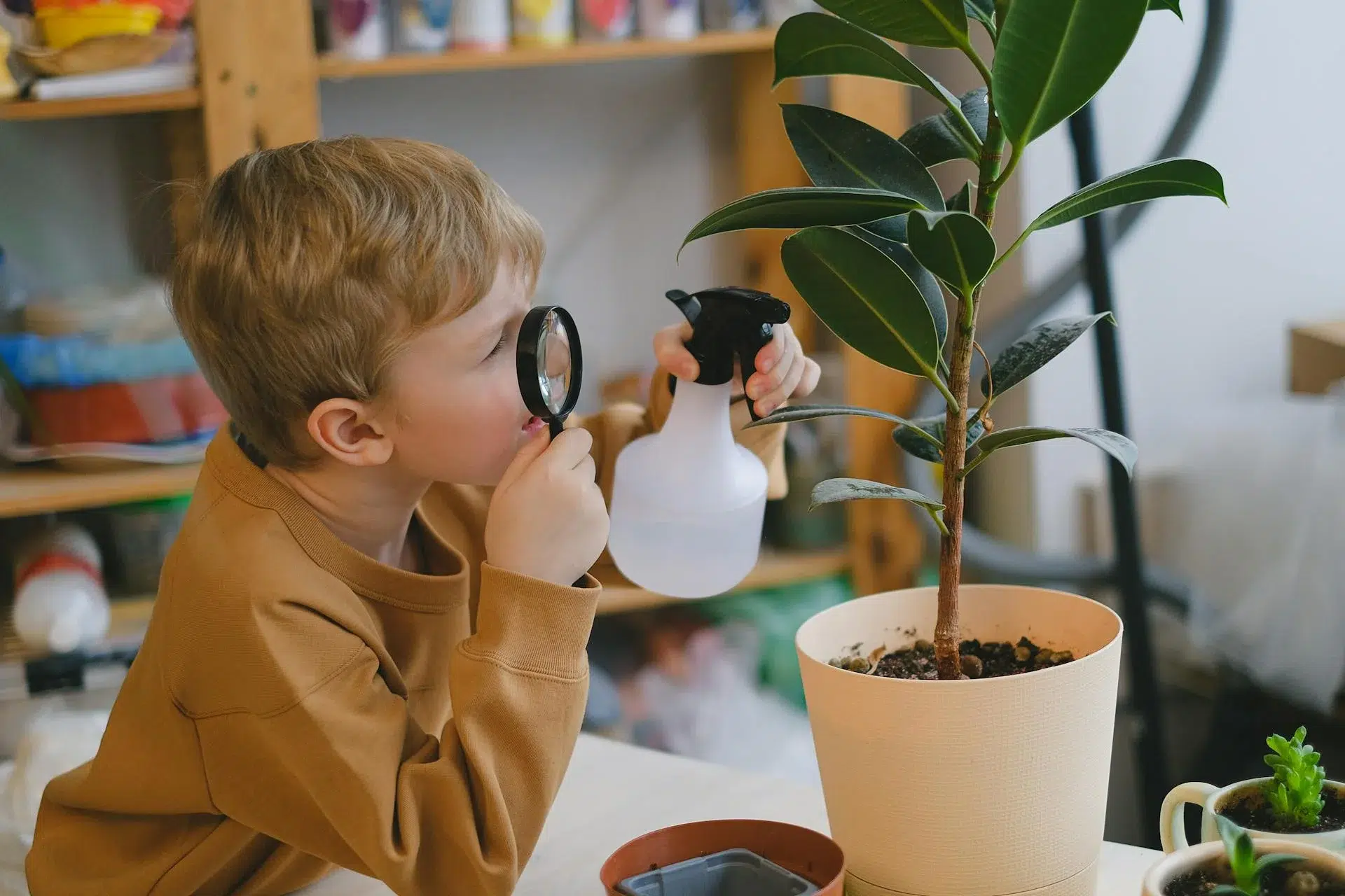 5th Grade Science Enrichment Programs